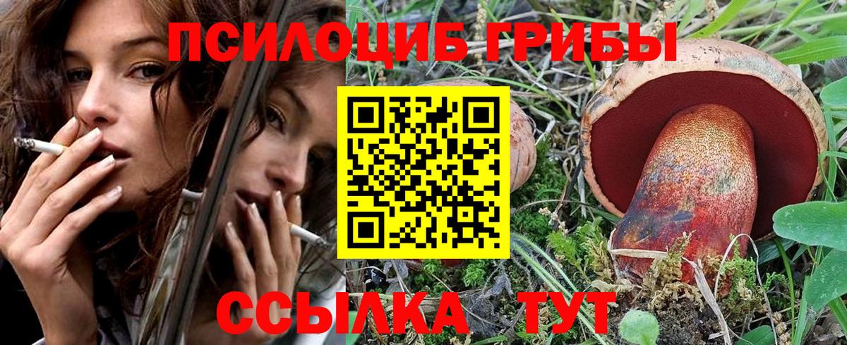 Галлюциногенные грибы Magic Shrooms Ногинск